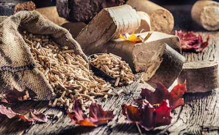 Wooden,Pressed,Pellets,And,Briquettes,From,Biomass,With,Autumn,Leaves.